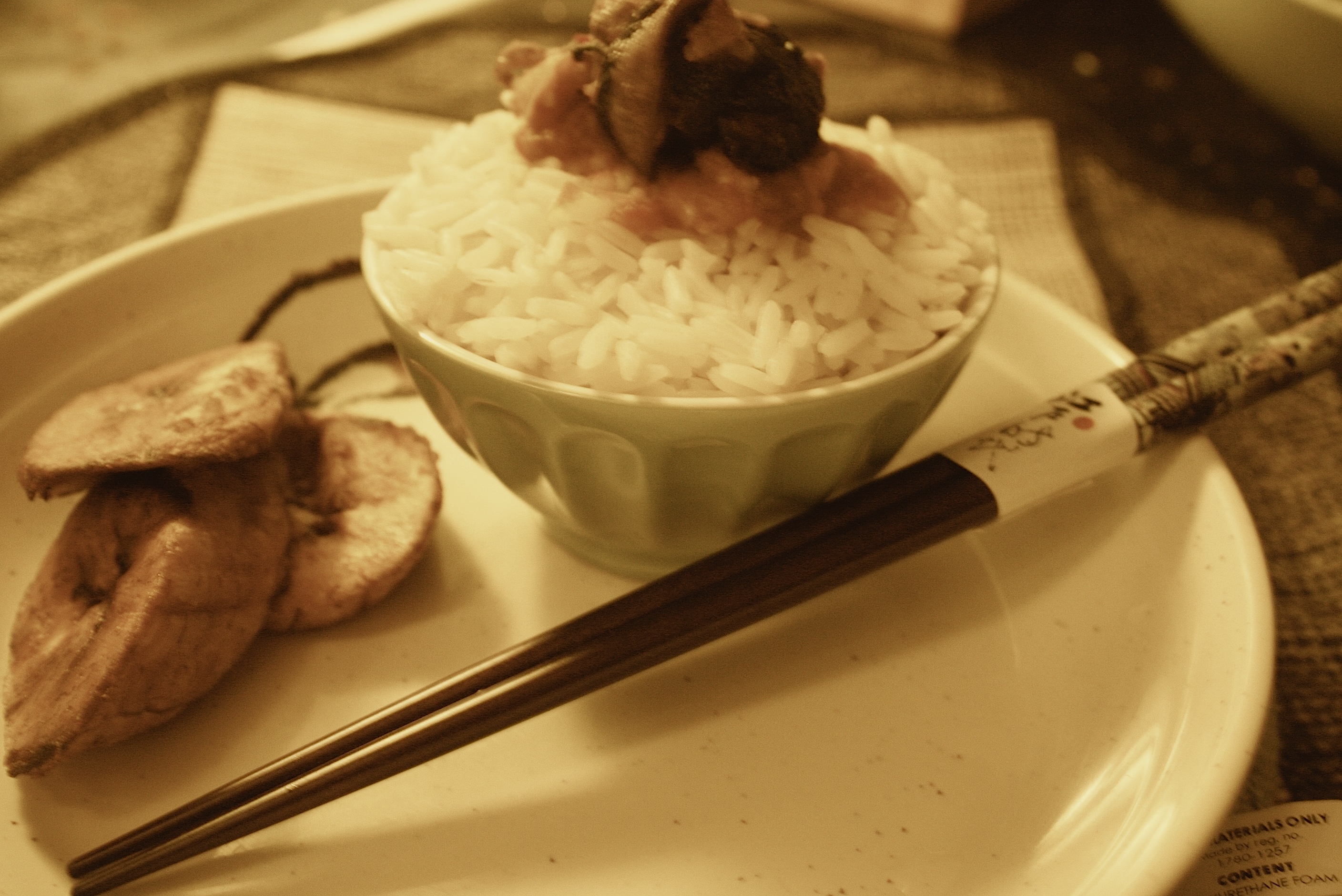 white rice, snail stew and dodo